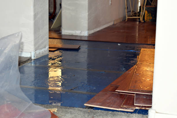 Professional Basement Water Removal technician working in Goodman, MO